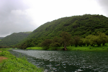 Photos from Oman