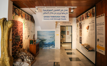 Museo de Historia Natural