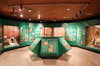 Museo de Historia Natural