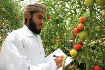 الثروة الزرعية في السلطنة
