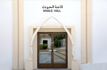 Museo de Historia Natural