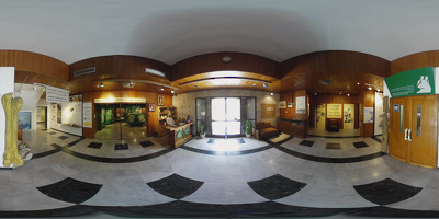 Museo de Historia Natural