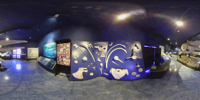 Museo de Historia Natural