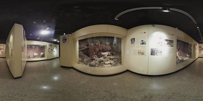 Museo de Historia Natural