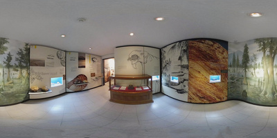 Museo de Historia Natural