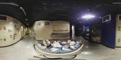 Museo de Historia Natural