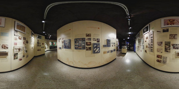 Museo de Historia Natural