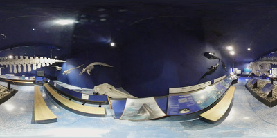 Museo de Historia Natural