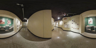 Museo de Historia Natural