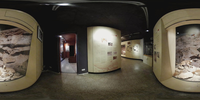 Museo de Historia Natural