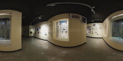Museo de Historia Natural
