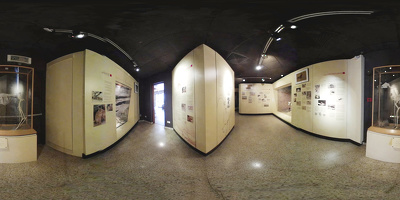 Museo de Historia Natural