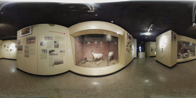 Museo de Historia Natural