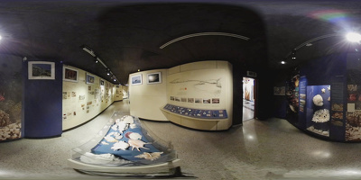 Museo de Historia Natural