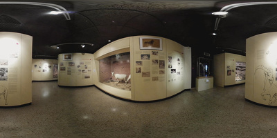 Museo de Historia Natural