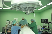 الخدمات الإجتماعية والطبية والهندسية