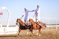 الخيل والهجن