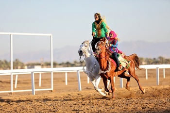 Horse and camel
