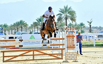 Horse and camel