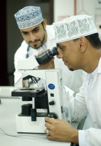 Centros e institutos gubernamentales de capacitación y formación