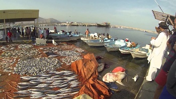 Recursos pesqueros