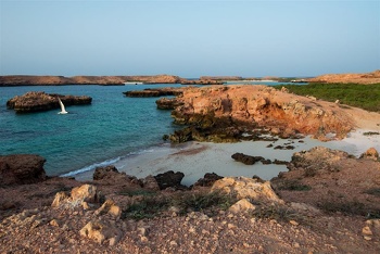 الحياة الفطرية في سلطنة عمان