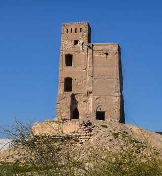 حصن الجنينة - ولاية بركاء 