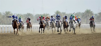 الخيل والهجن