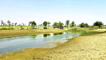 Die Oase der Wilayat Muqshin