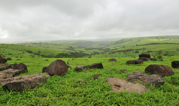 Gouvernement Dhofar