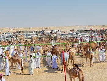  Wilayat Thumrait
