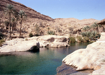 Blick auf das Wadi Bani Khalid