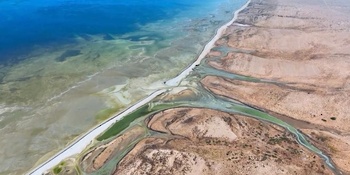 ولاية الجازر