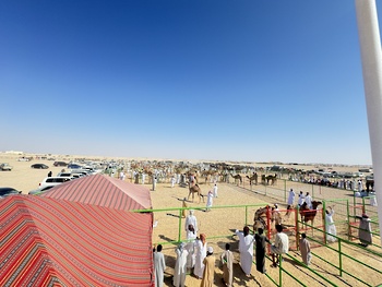  Wilayat Thumrait