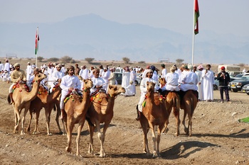  مهرجان الأصالة للهجن والخيل بولاية صحم