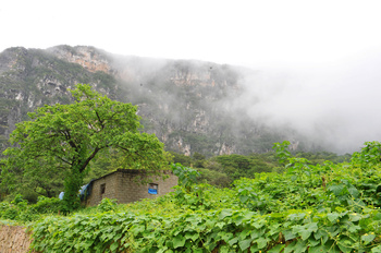 Gouvernement Dhofar