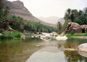 Wilayat Wadi Bani Khalid