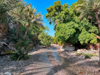 Wilayat Madahaa