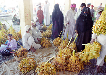Wilayat Al Mudhaibi