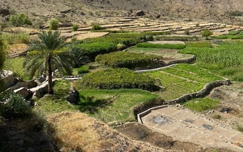 Granja Jalab, Wilaya de Al Awabi	