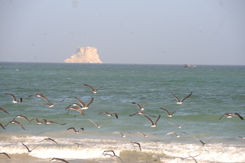 Vue de la wilaya d\'Al Duqm 