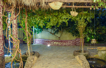 Oasis de Saʿra en la gobernación de Al Buraimi	