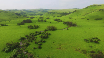 Gobernación de Dhofar