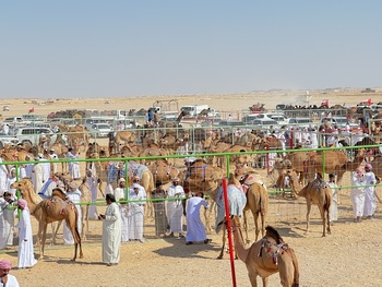 Wilaya de Thumrait