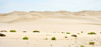 La wilaya de Muqshin