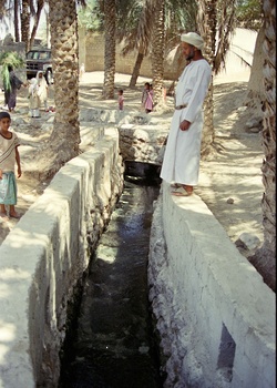 Falaj Al Ayn dans la wilaya d\'Adam 
