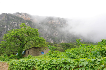 Gobernación de Dhofar