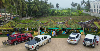 Kiosques de vente de fruits et de noix de coco