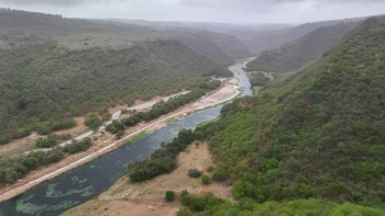 Dhalkut