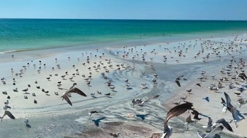 La Playa Al Rahah, Niyabat Al Lukbi – Wilaya de Al Jazir